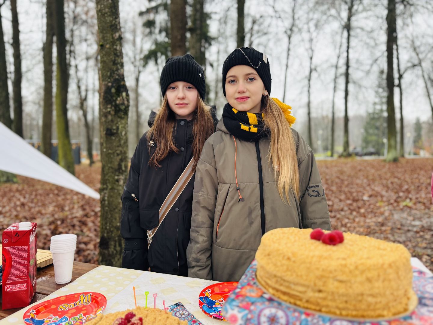 Сергиев Посад, день народного  единства, парк скитские пруды,