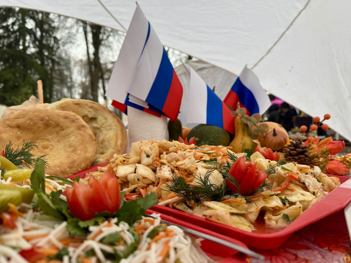 Сергиев Посад, день народного  единства, парк скитские пруды,