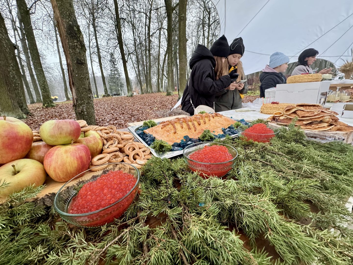 Сергиев Посад, день народного  единства, парк скитские пруды,