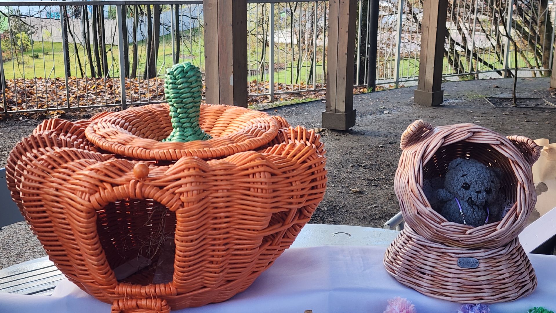 День народного единства, Праздники , Культура , отдых в звенигороде,