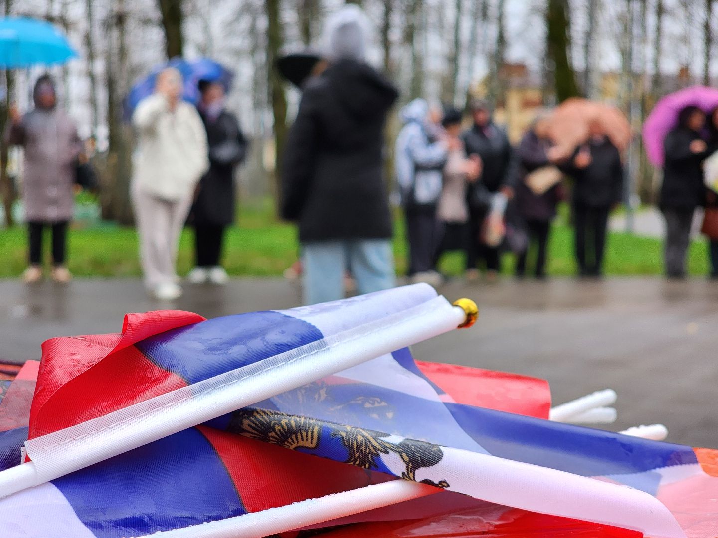 сергиев посад, сергиево-посадский городской округ, краснозаводск, парк победы, день народного  единства, 4 ноября праздник,россия, родина, единство народов, парки подмосковья, волонтеры подмосковья,