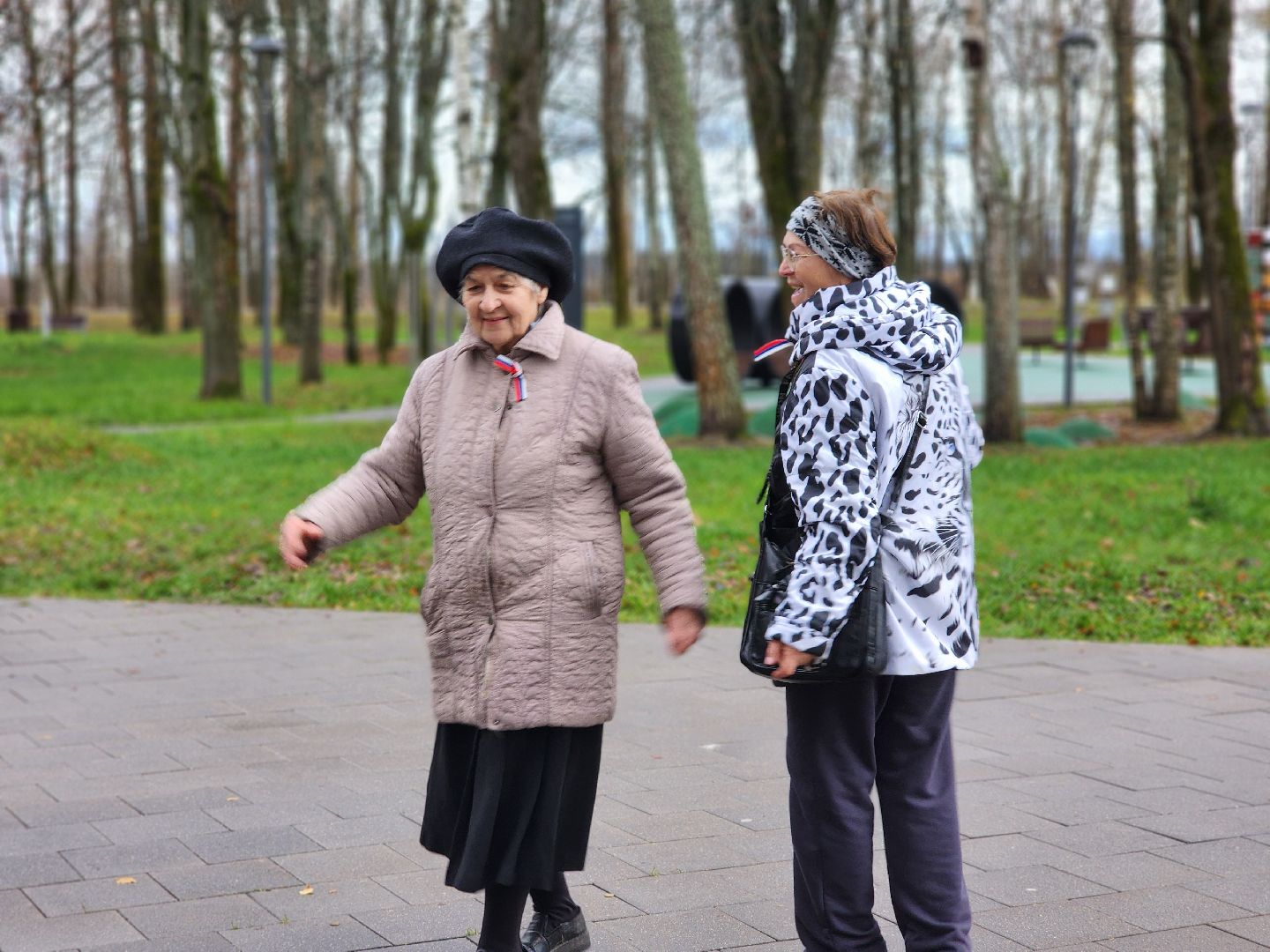сергиев посад, сергиево-посадский городской округ, краснозаводск, парк победы, день народного  единства, 4 ноября праздник,россия, родина, единство народов, парки подмосковья, волонтеры подмосковья,