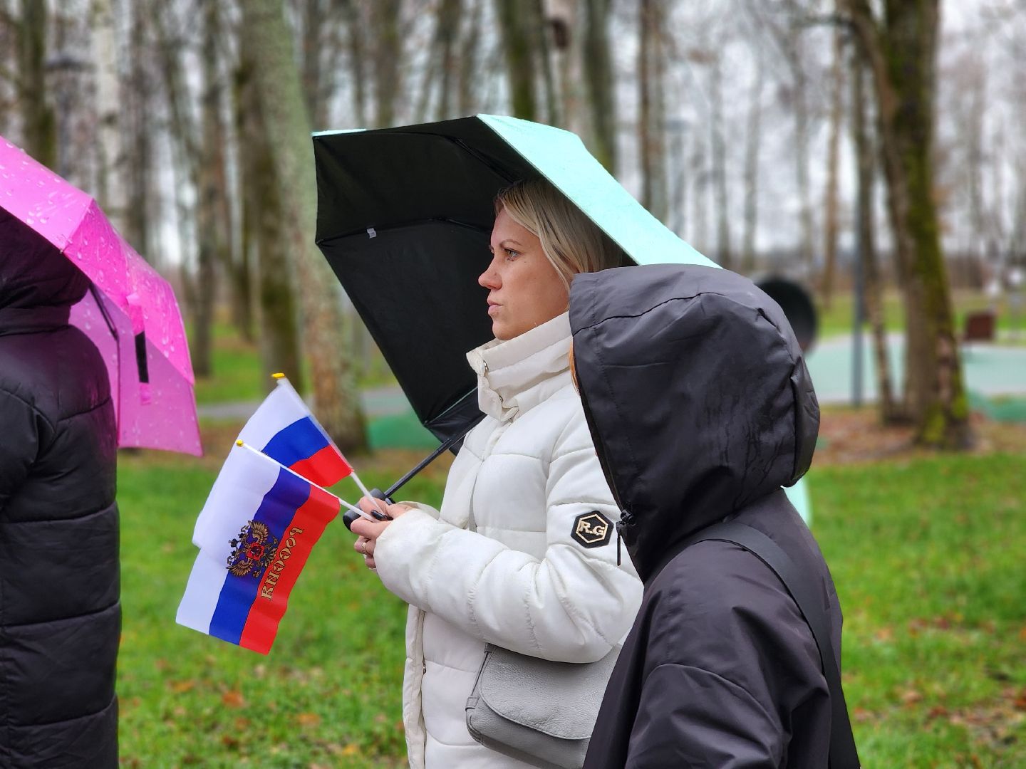 сергиев посад, сергиево-посадский городской округ, краснозаводск, парк победы, день народного  единства, 4 ноября праздник,россия, родина, единство народов, парки подмосковья, волонтеры подмосковья,