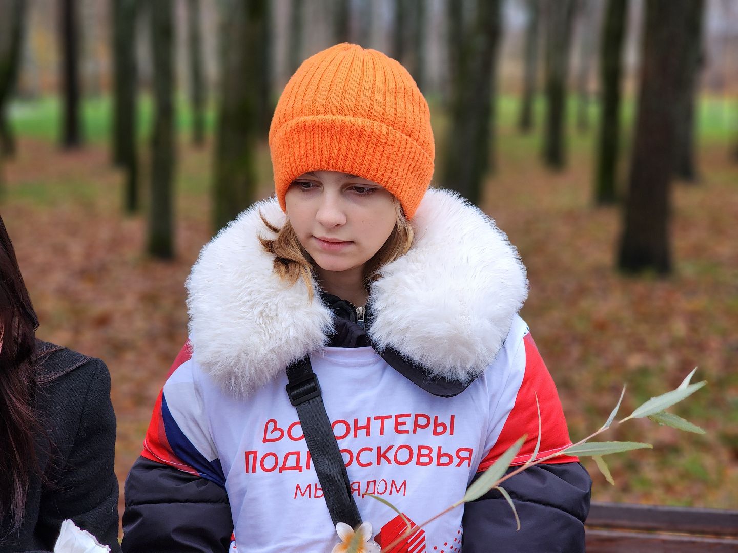 сергиев посад, сергиево-посадский городской округ, краснозаводск, парк победы, день народного  единства, 4 ноября праздник,россия, родина, единство народов, парки подмосковья, волонтеры подмосковья,