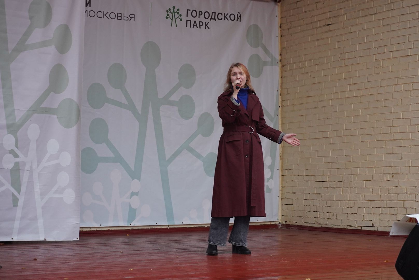 Павловский Посад , День народного единства , Праздник,