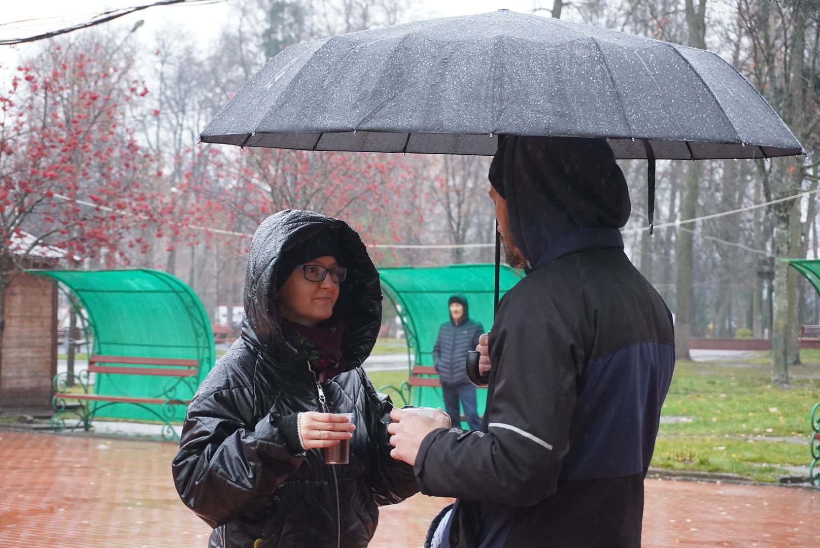 Павловский Посад , День народного единства , Праздник,