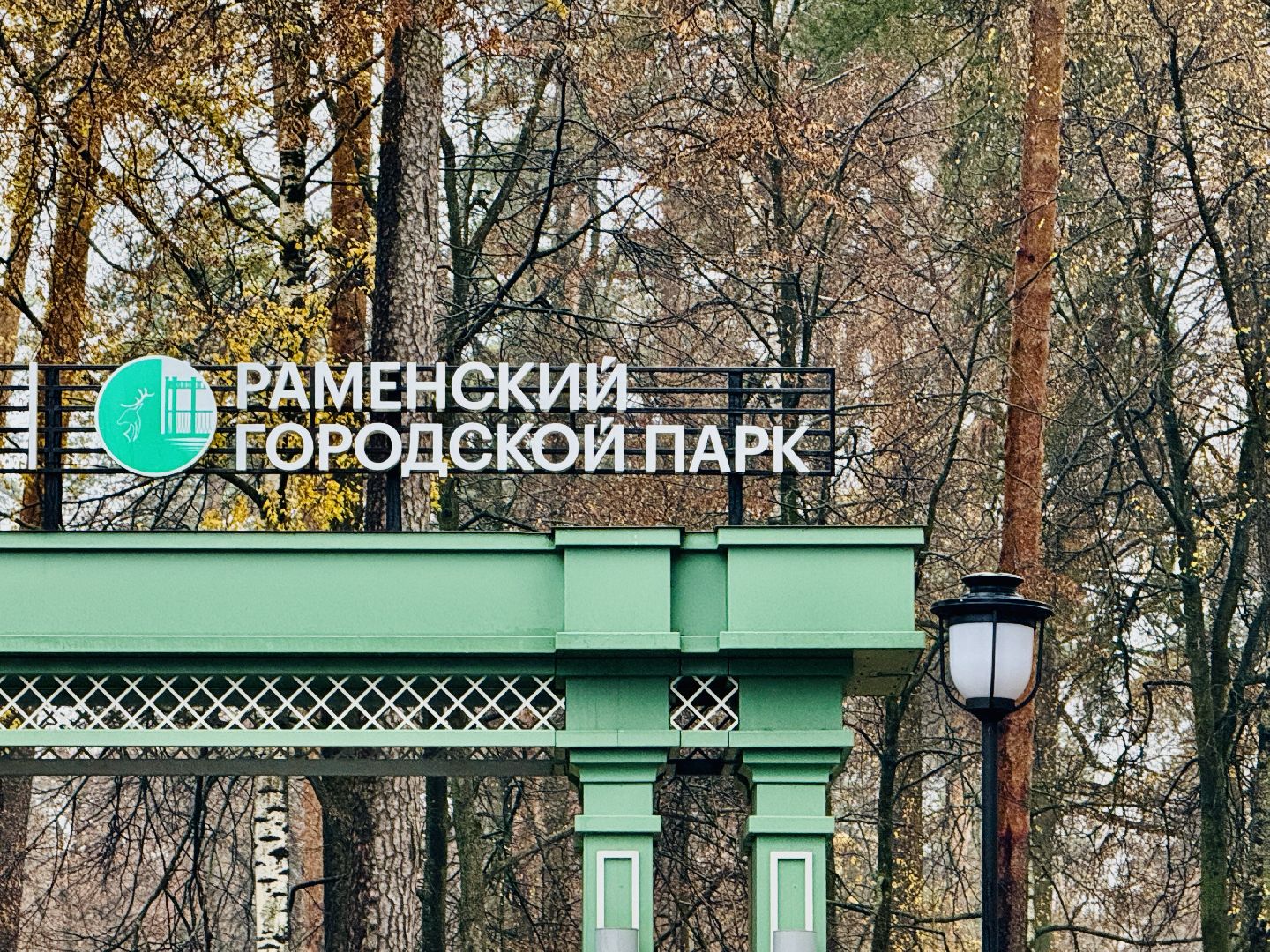 раменское, мчс, пожарные, выставка техники, спасатели, день добрых дел мчс,