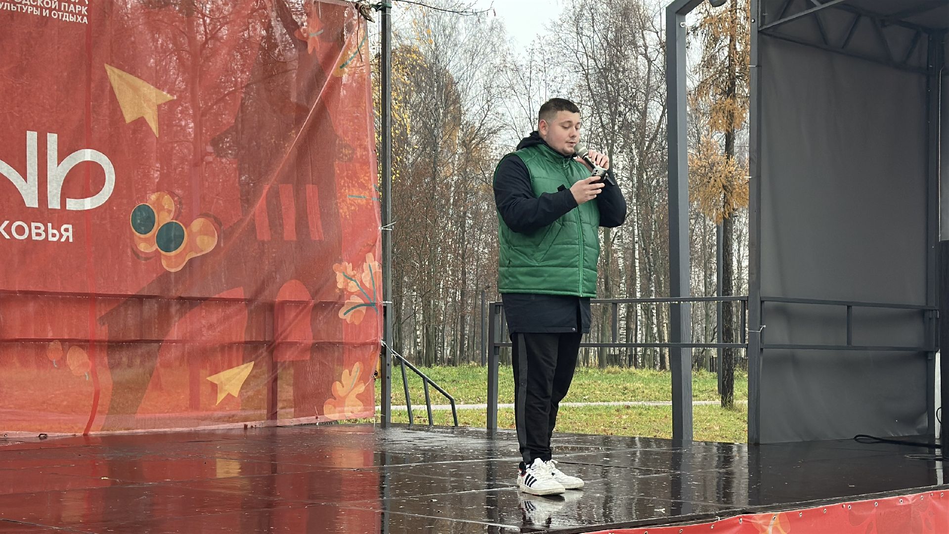 пушкинский городской округ, ивантеевка, городской парк ивантеевки,  день народного  единства, 4 ноября,