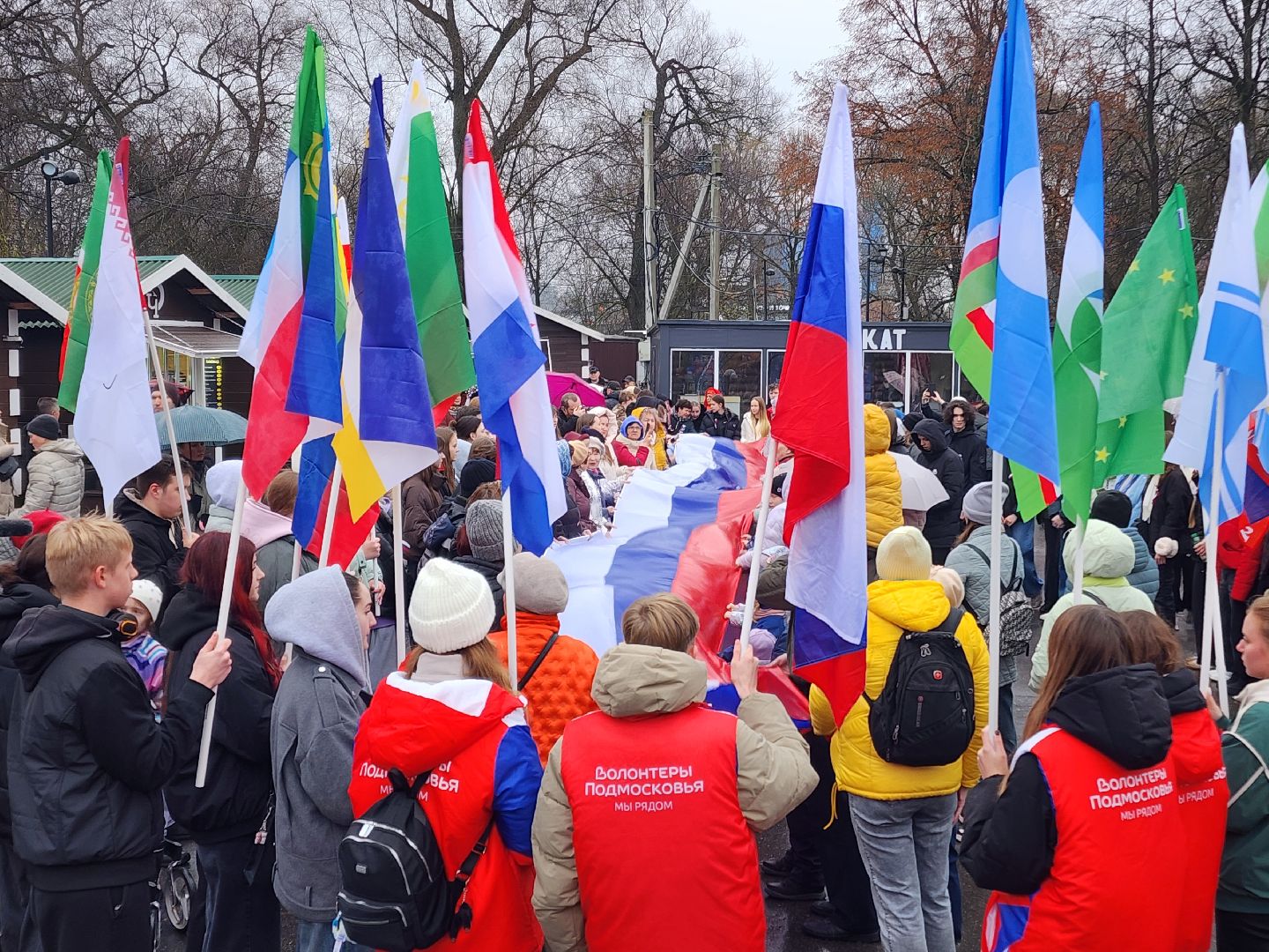 чехов, парк культуры и отдыха, день народного  единства, праздник, торжество, патриотические акции, флаг россии, флаги регионов россии, акция дружба народов, мастер-классы, конкурсы, исторический тест, волонтеры подмосковья, игровая программа, концерт,