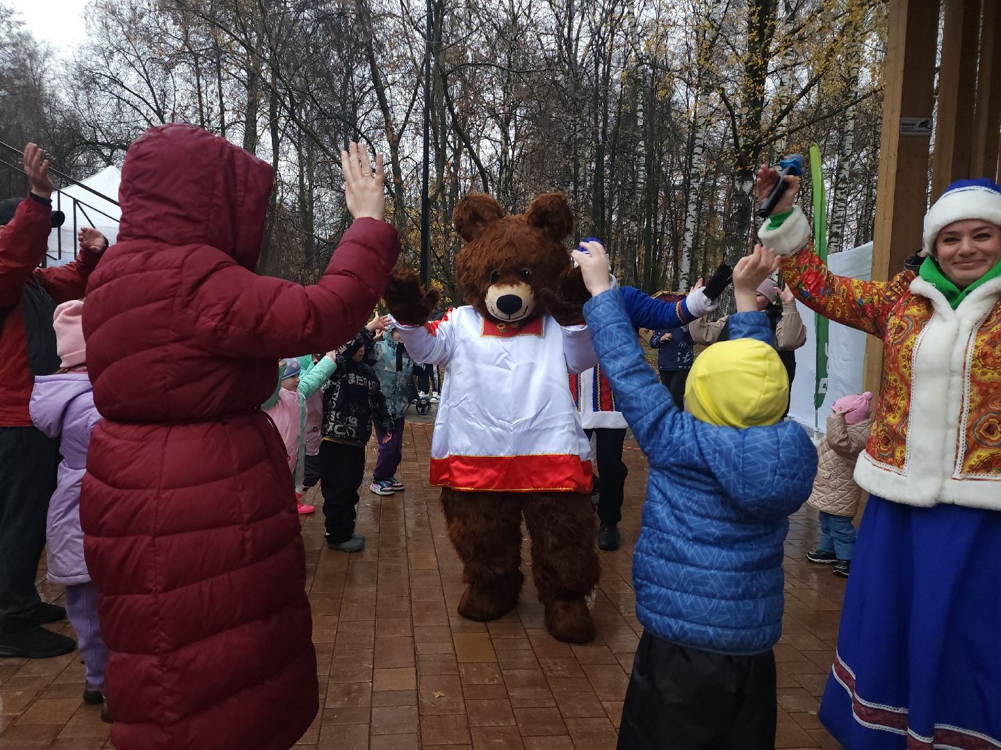 мытищи, день народного  единства,