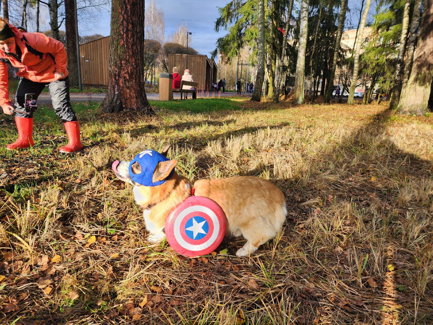 красноармейск,  городской округ пушкинский, корги-встречи , банный лес, день народного единства ,