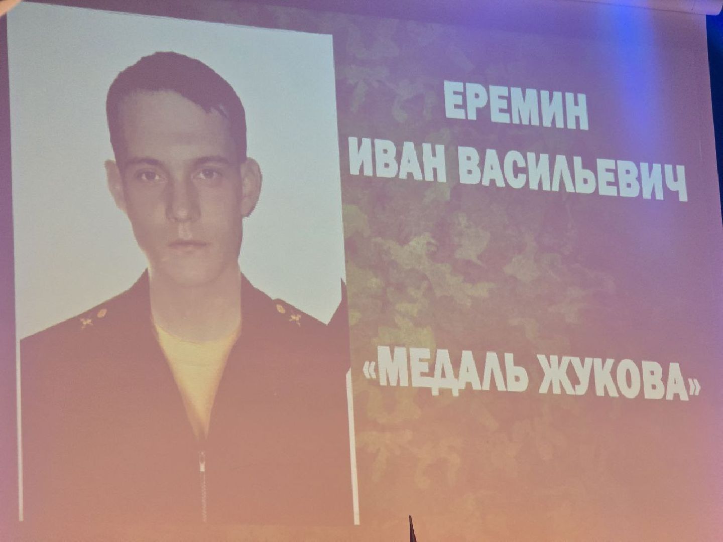 можайск, можайский муниципальный округ, подмосковье, день народного единства, государственные награды, участники сво, чествование героев,