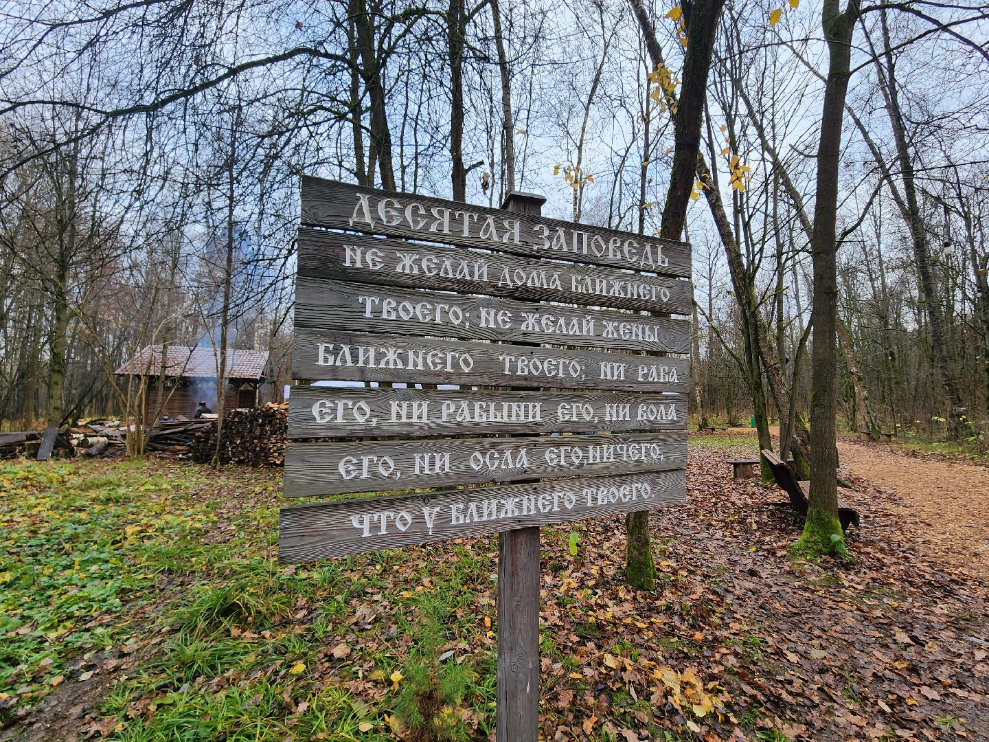 мытищи, день народного единства,