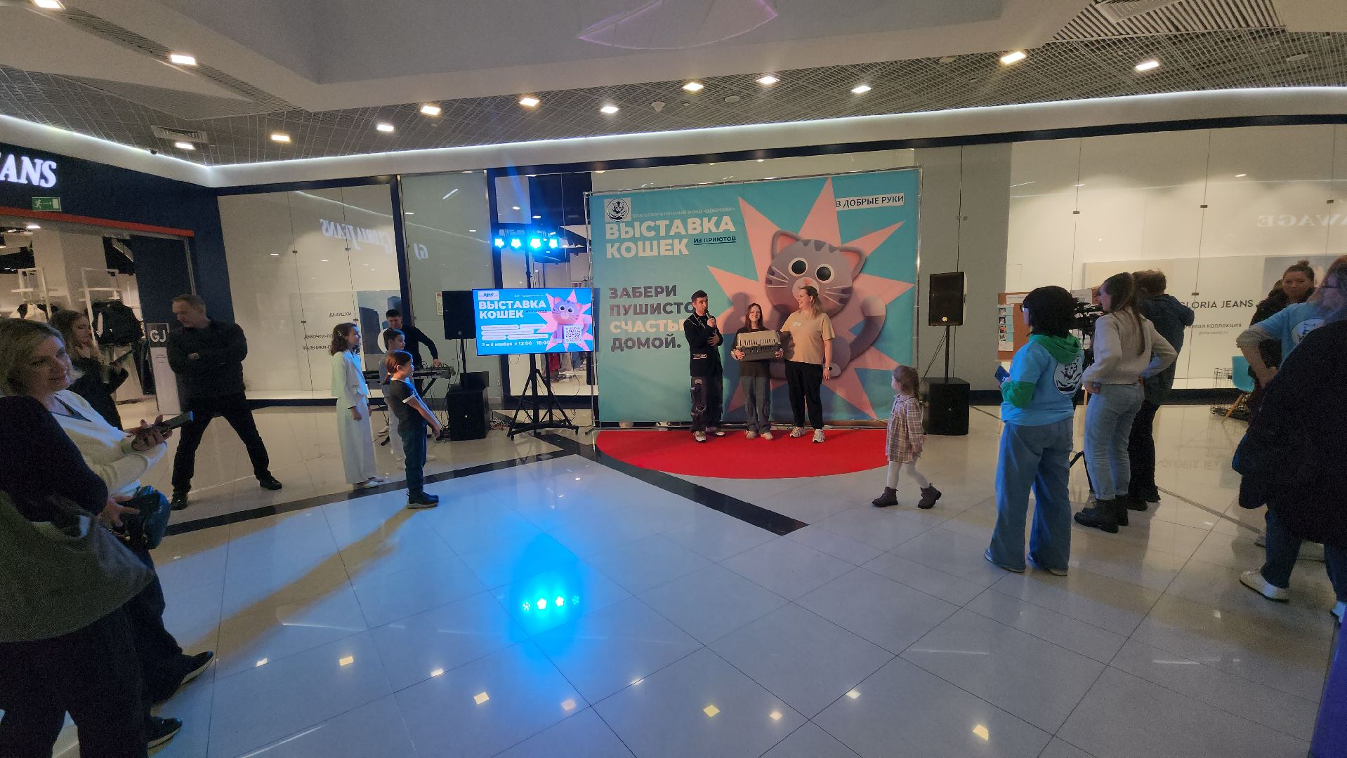 Люберцы, благотворительная выставка, доброкот, домашние животные,