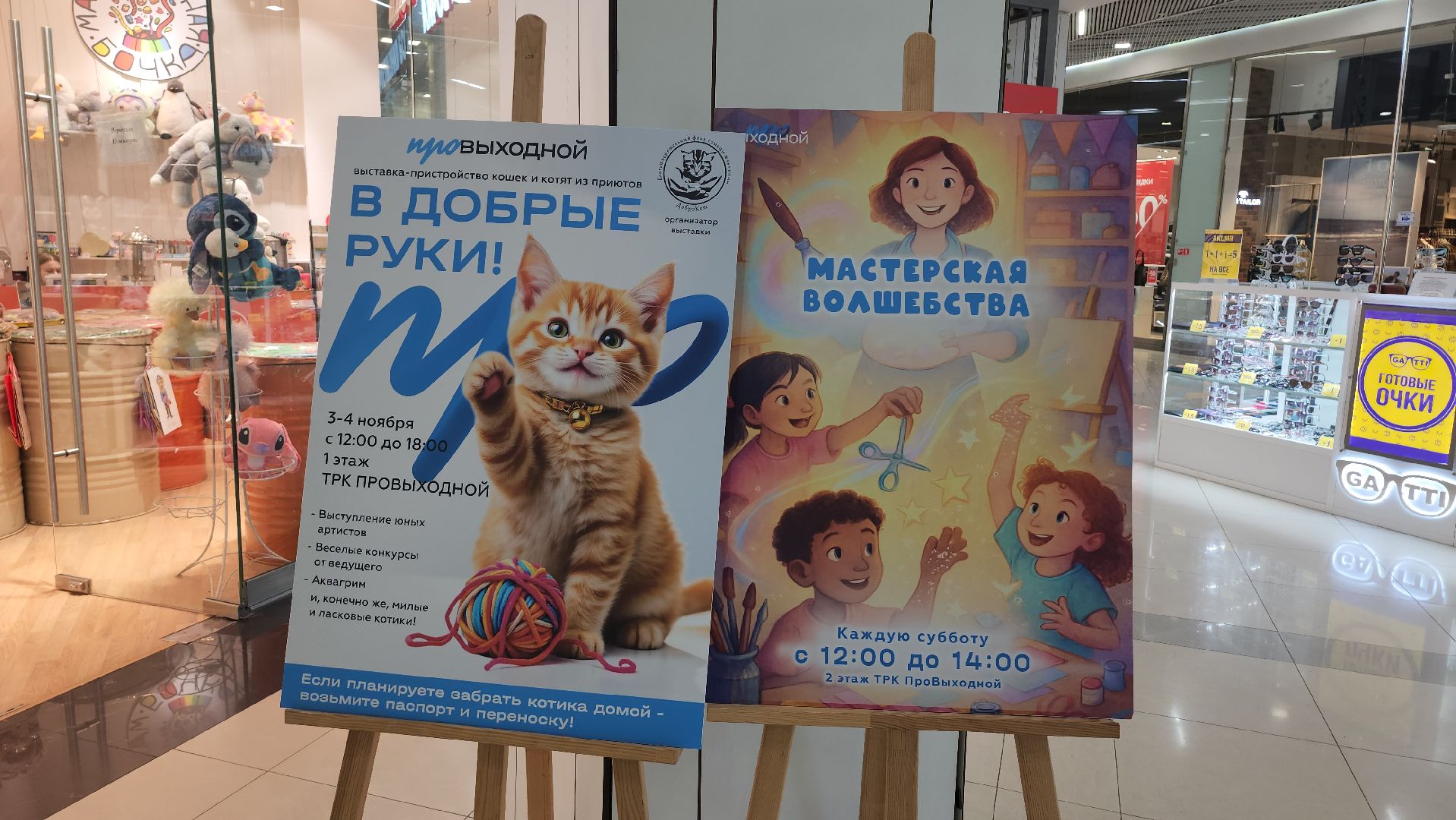 Люберцы, благотворительная выставка, доброкот, домашние животные,