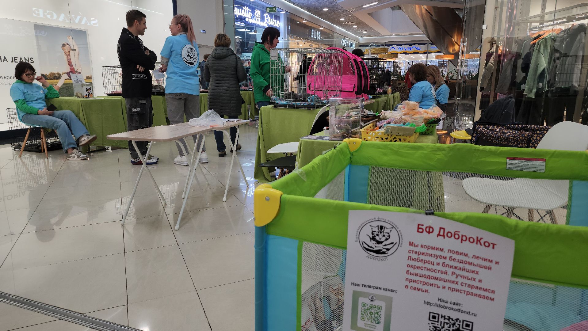 Люберцы, благотворительная выставка, доброкот, домашние животные,