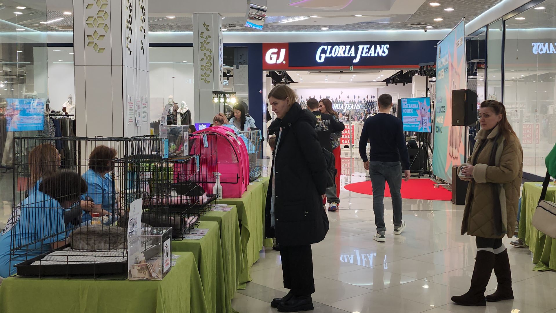 Люберцы, благотворительная выставка, доброкот, домашние животные,