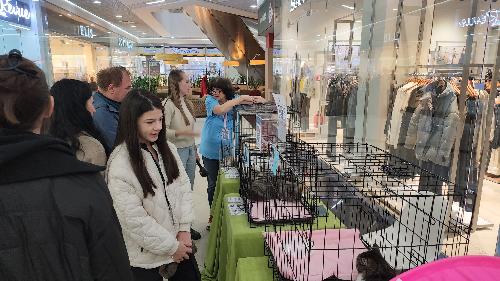 Люберцы, благотворительная выставка, доброкот, домашние животные,