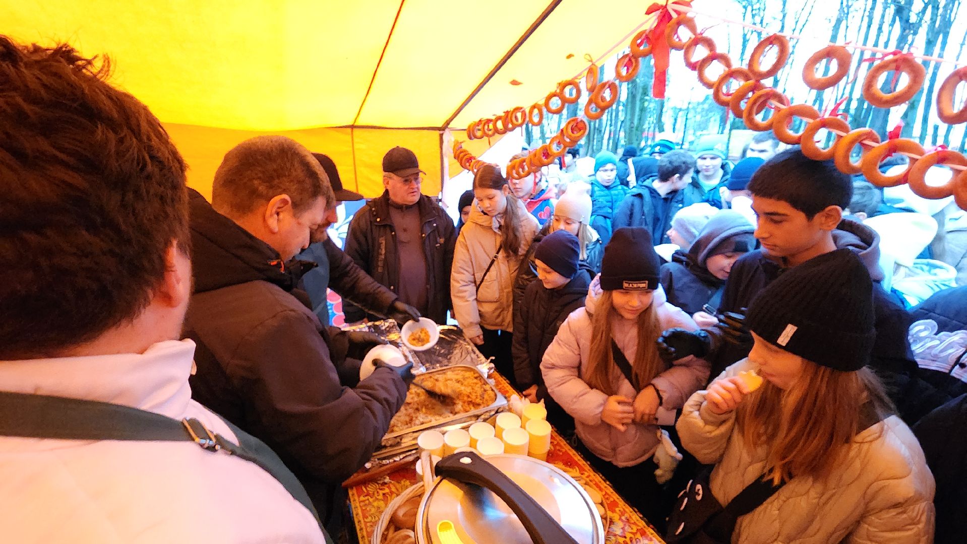 праздник,  день народного единства, парки подмосковья, лосино-петровский,