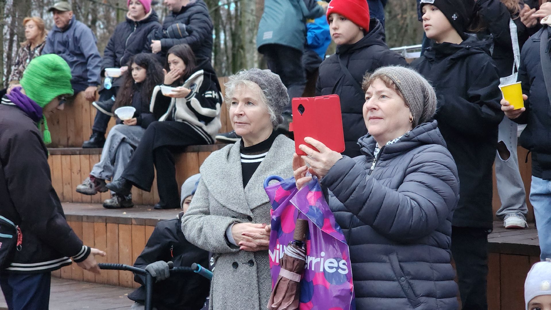 праздник, день народного  единства, лосино-петровский,