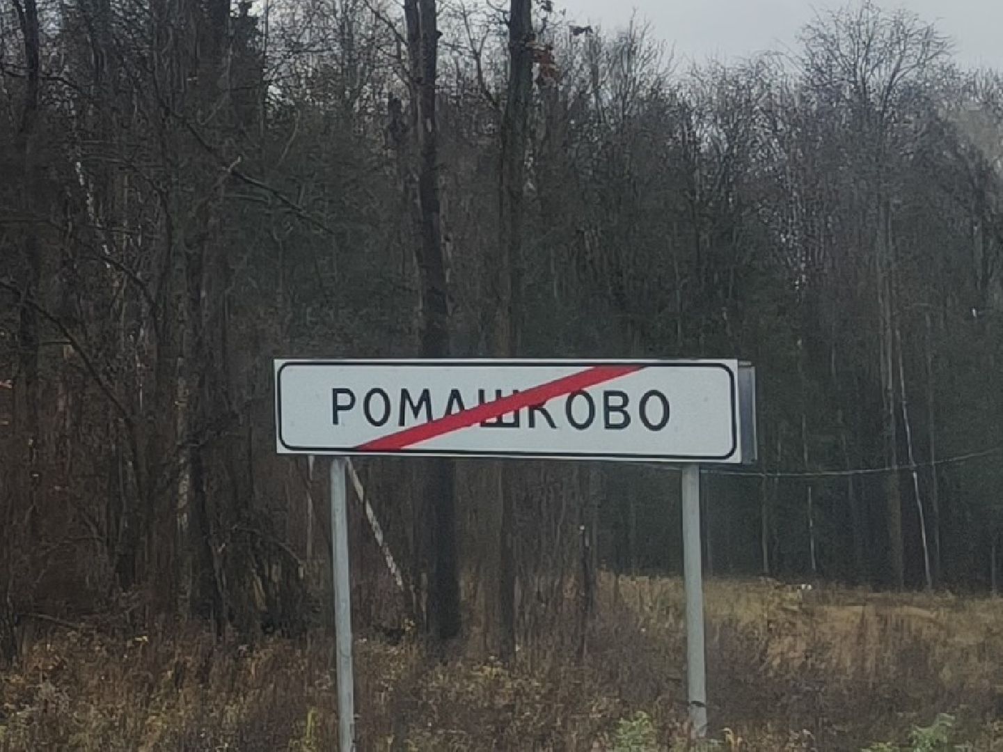 одинцовский городской округ, ромашково, транспорт, маршрут,