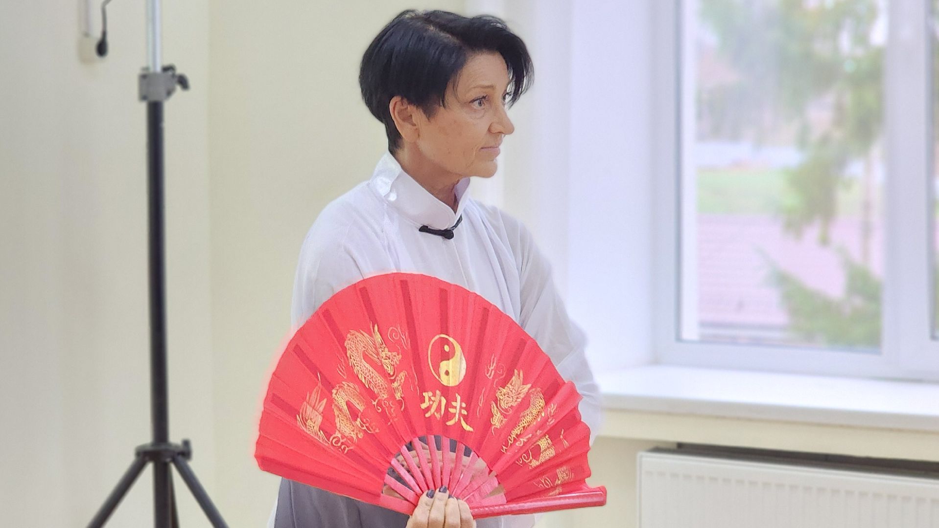 волоколамск, выставка картин, передернина, гохуа,