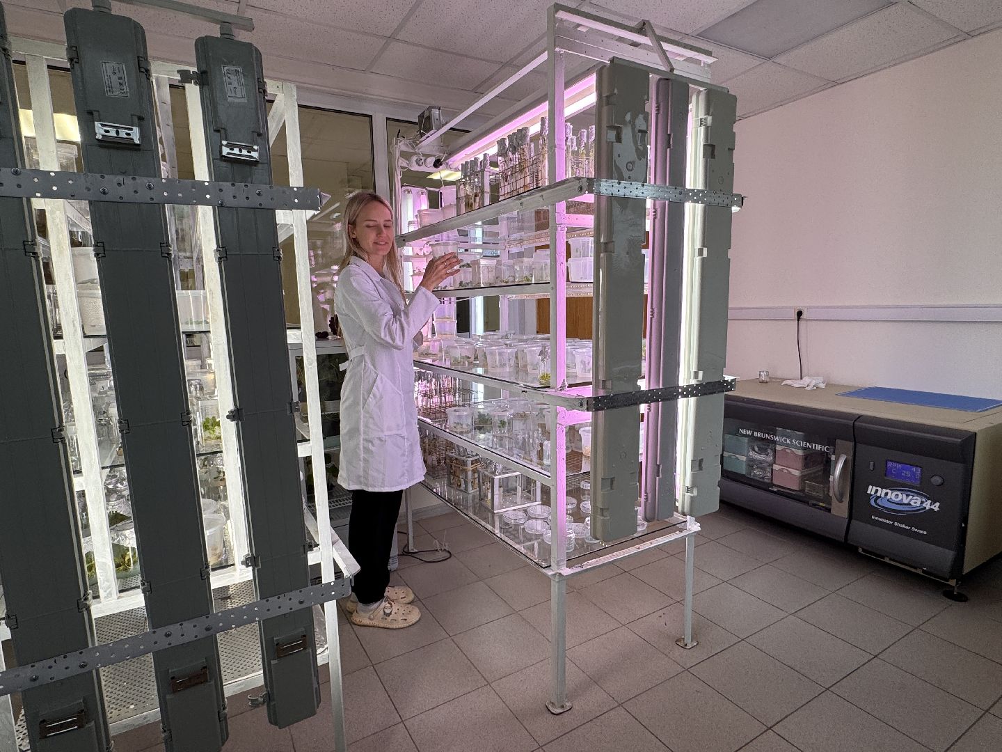 Прорыв в науке, Федеральный научный центр овощеводства, Молодые ученые,