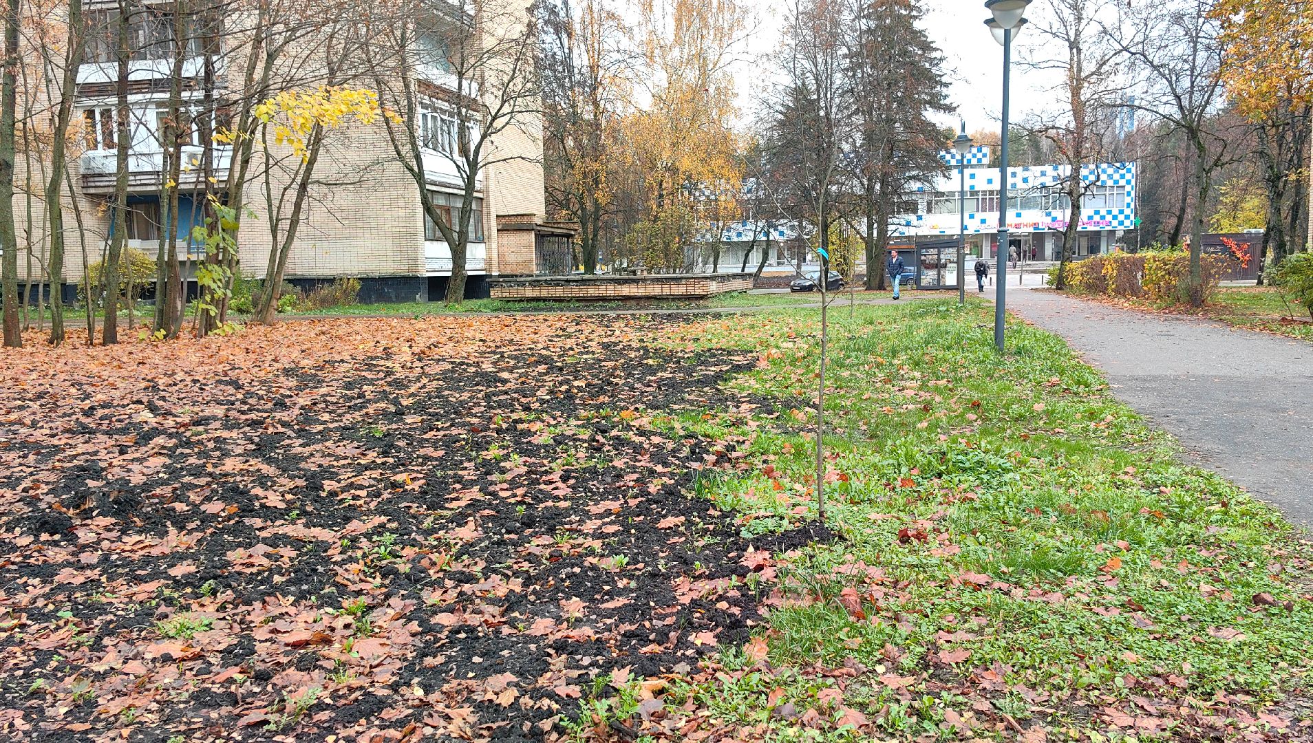 тепловые сети, ремонт, канализация, парковка, благоуйстройство,