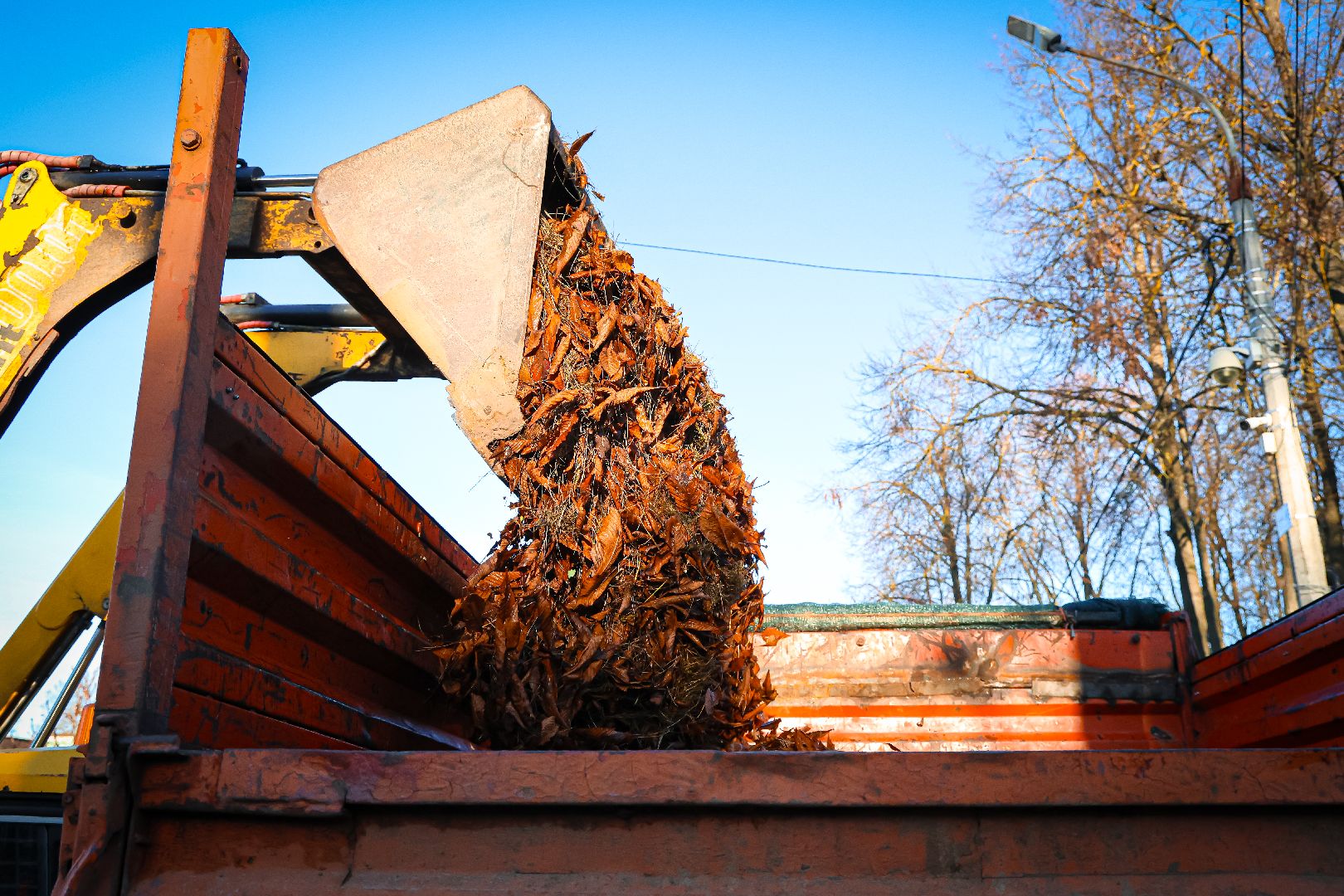 клин, благоустройство, уборка листвы, жкх,