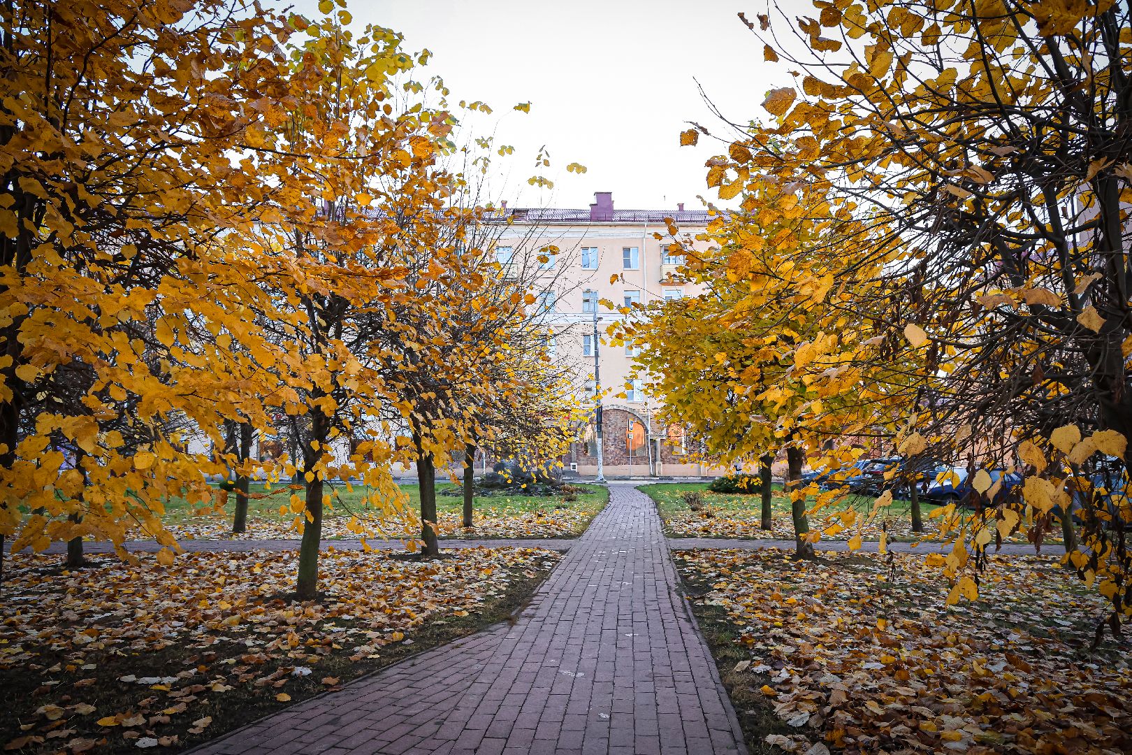 клин, благоустройство, уборка листвы, жкх,