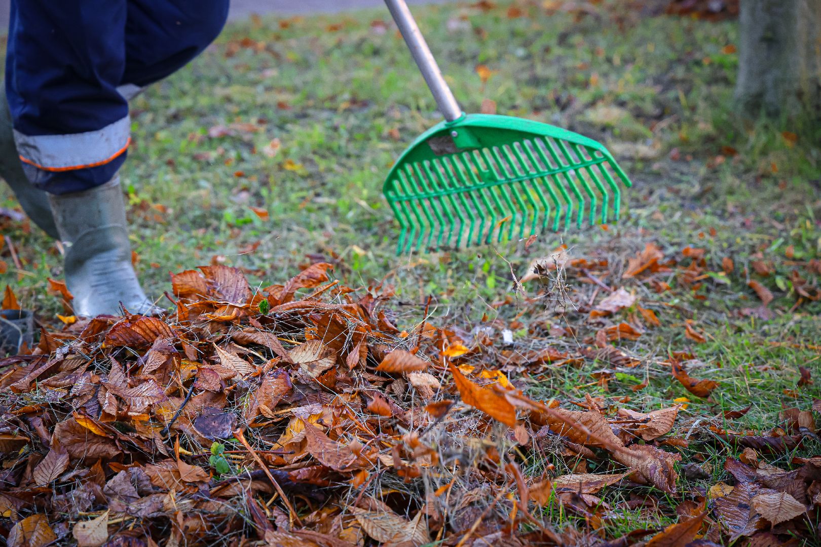 клин, благоустройство, уборка листвы, жкх,