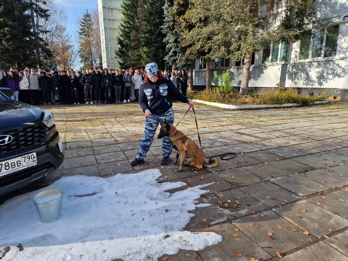 ДеньОВД, Деньполиции, Дубна,