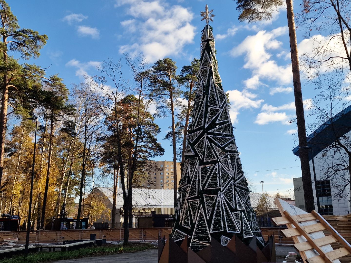 в парке пехорка балашихи установили новогоднюю елку 2025, балашиха,