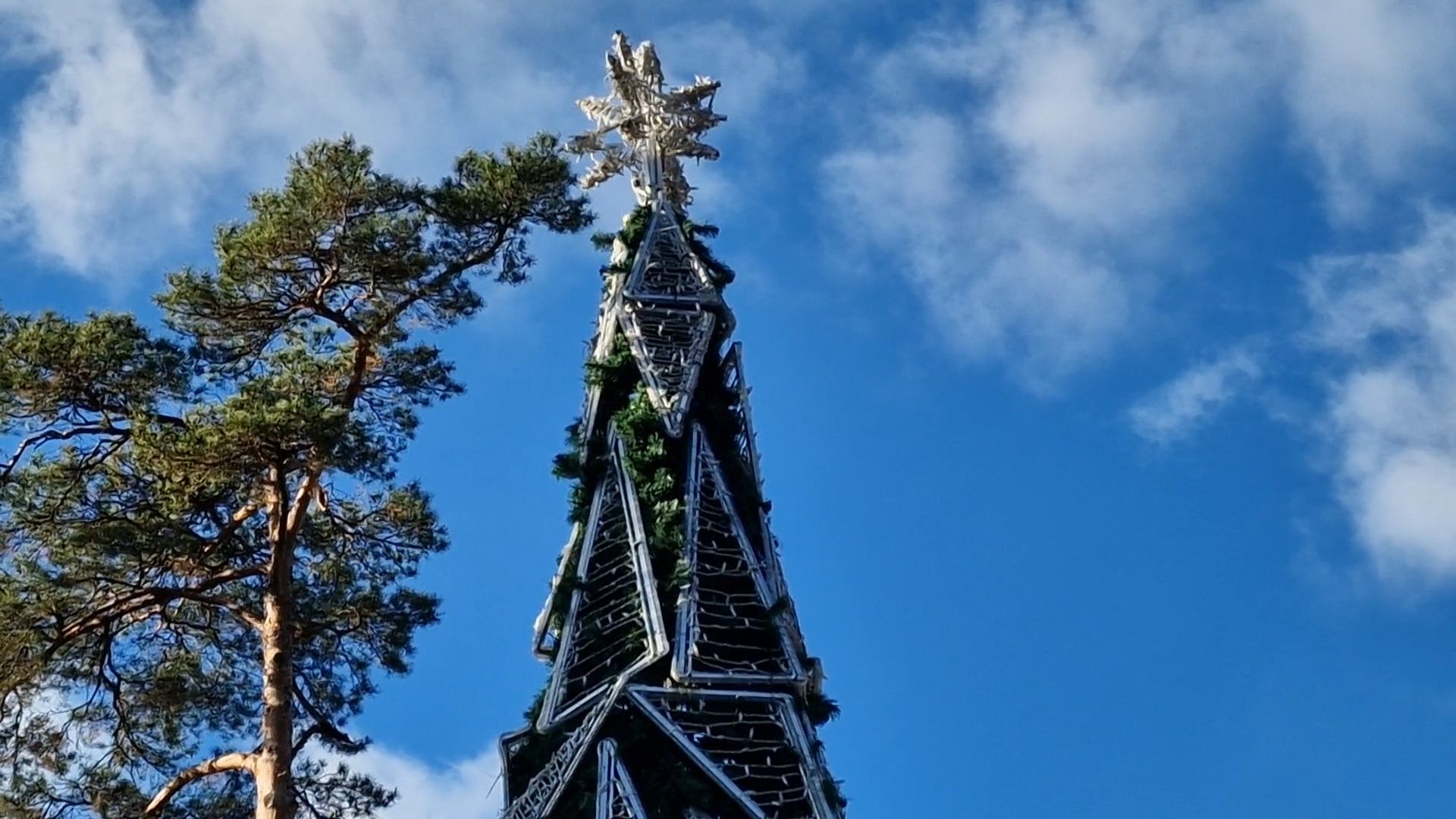 в парке пехорка балашихи установили новогоднюю елку 2025, балашиха,