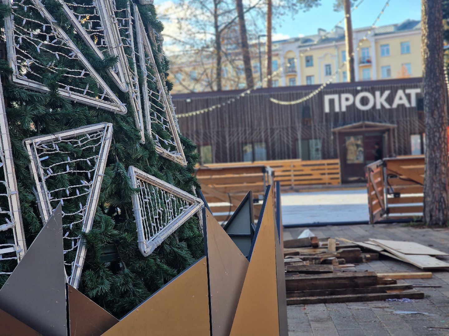 в парке пехорка балашихи установили новогоднюю елку 2025, балашиха,