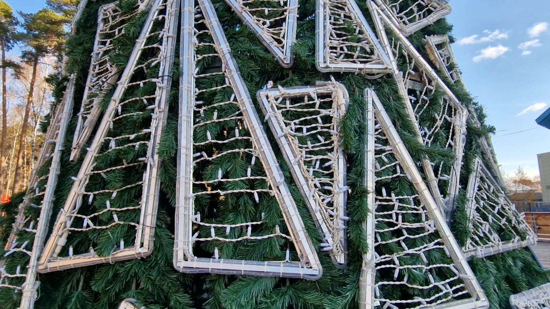 в парке пехорка балашихи установили новогоднюю елку 2025, балашиха,