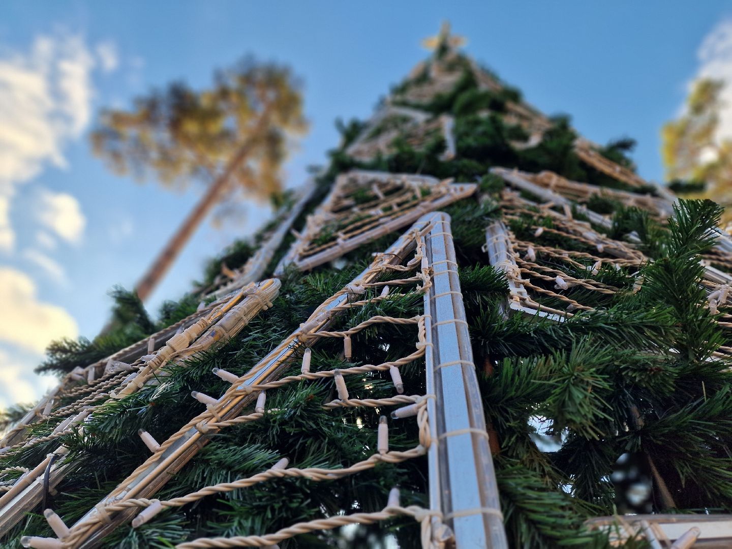 в парке пехорка балашихи установили новогоднюю елку 2025, балашиха,