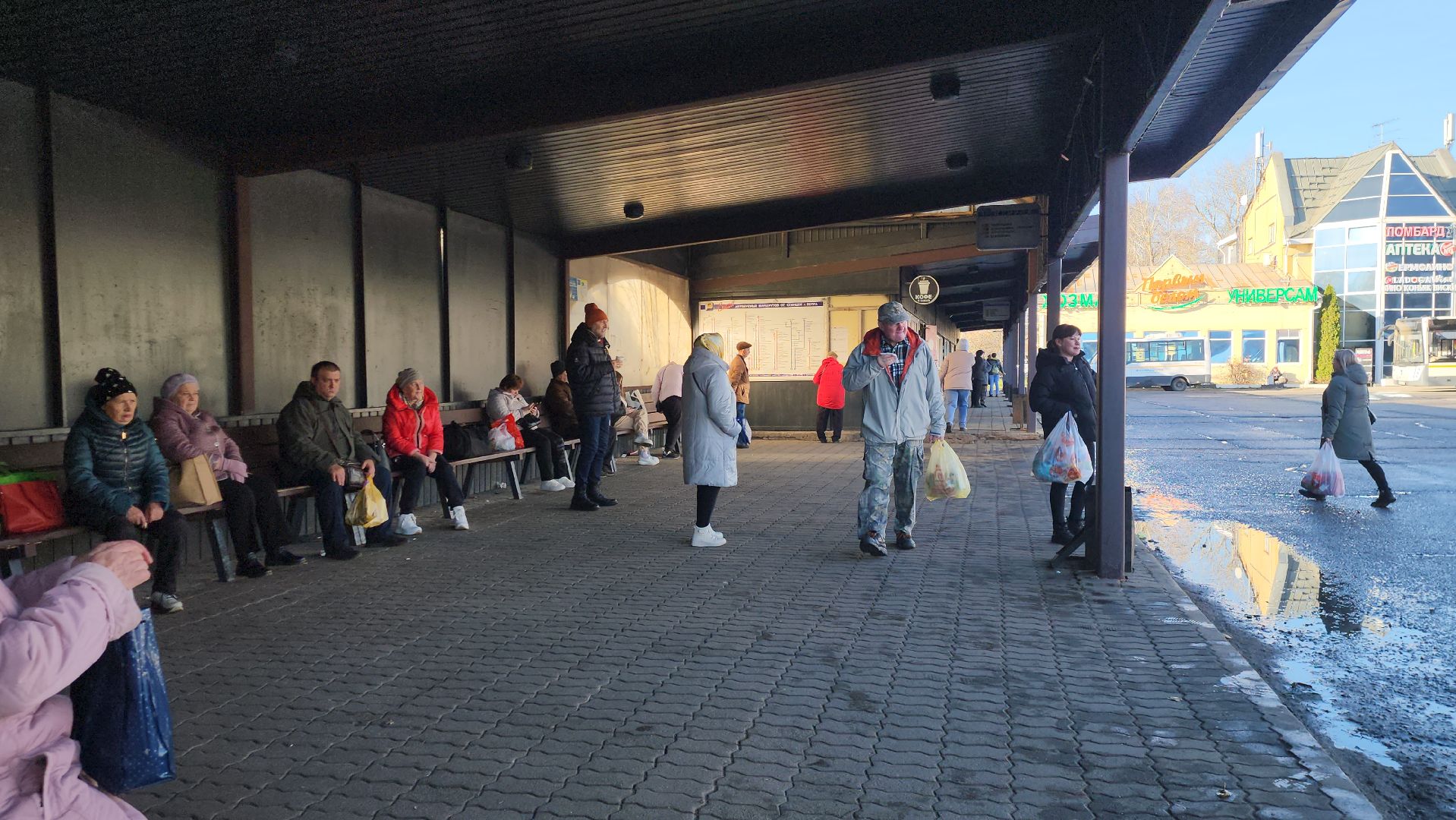 Истра, Автобус, общественный транспорт,