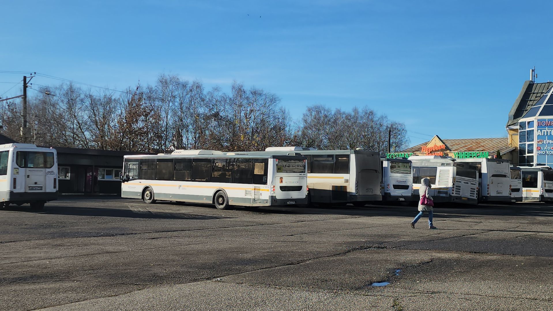 Истра, Автобус, общественный транспорт,