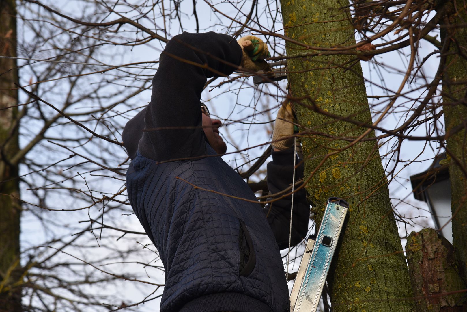 лотошино, благоустройство, новый год, лотошинский цдк,