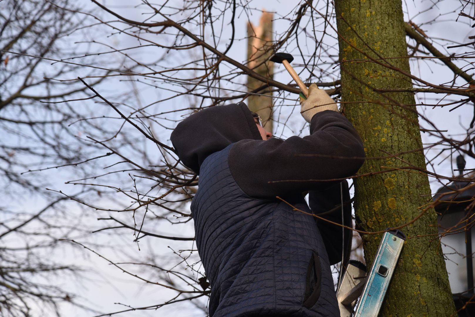 лотошино, благоустройство, новый год, лотошинский цдк,