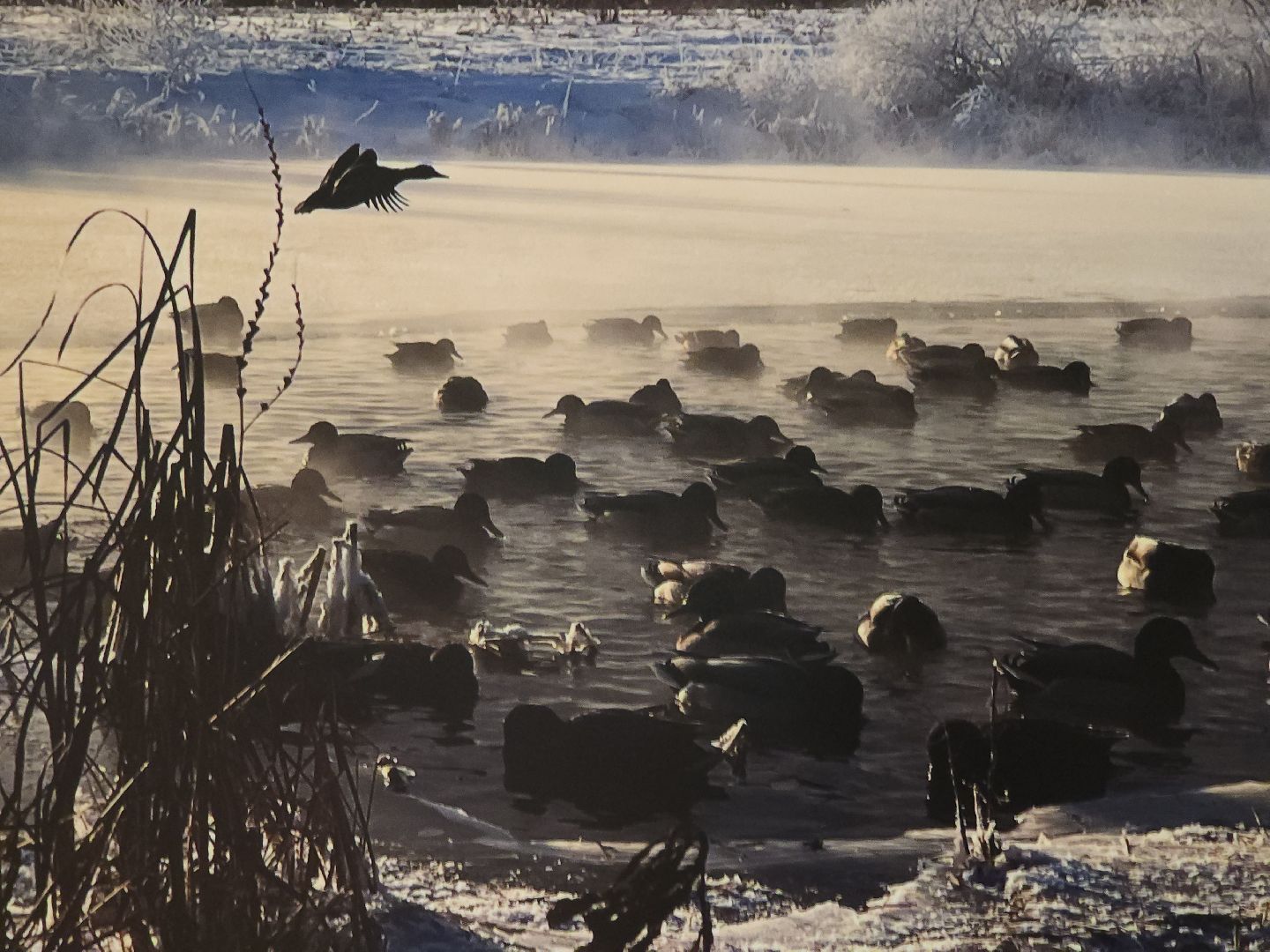 мытищи, фотоконкурс,