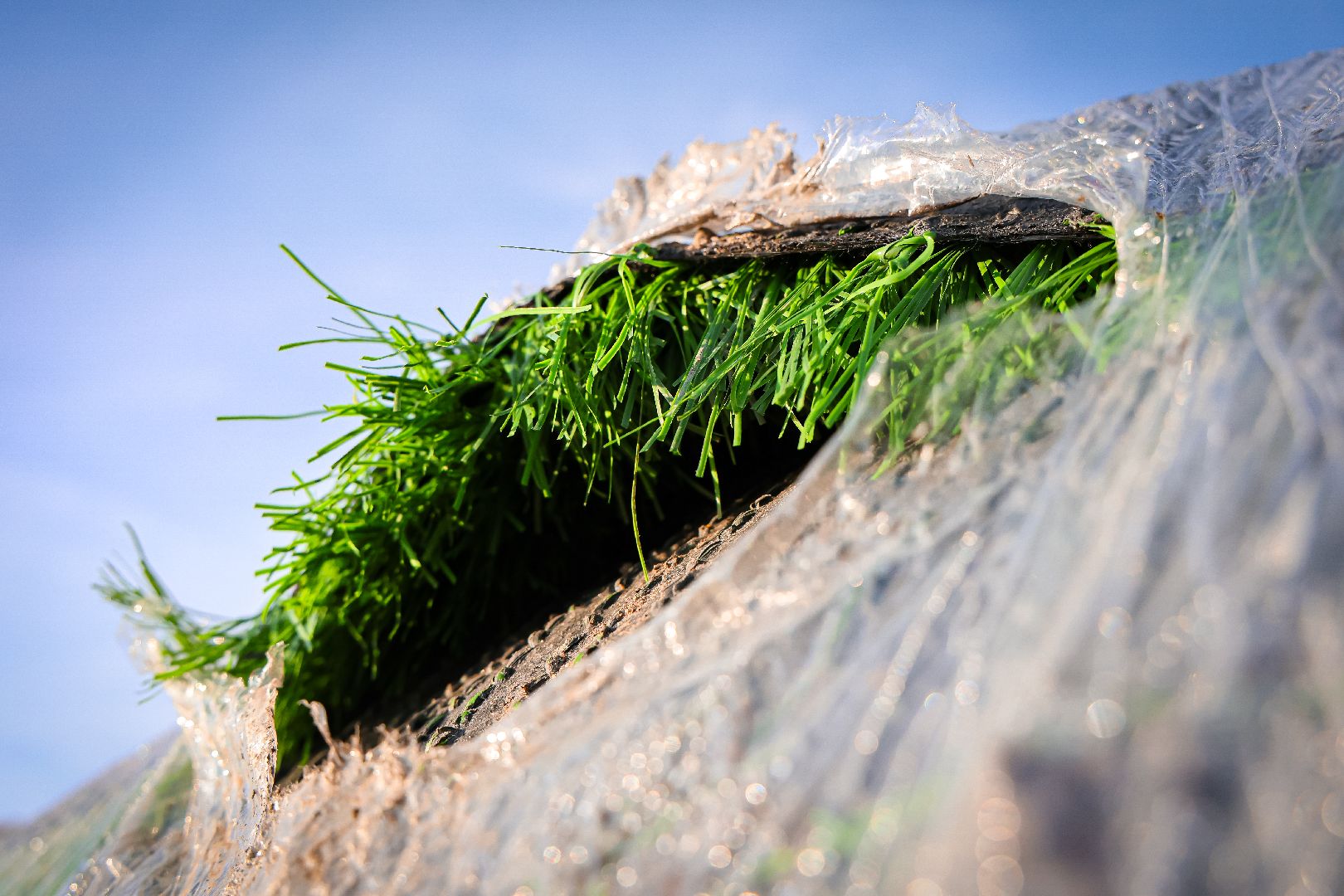 клин, общество, строительство, реконструкция стадиона, подмосковье, спорт,