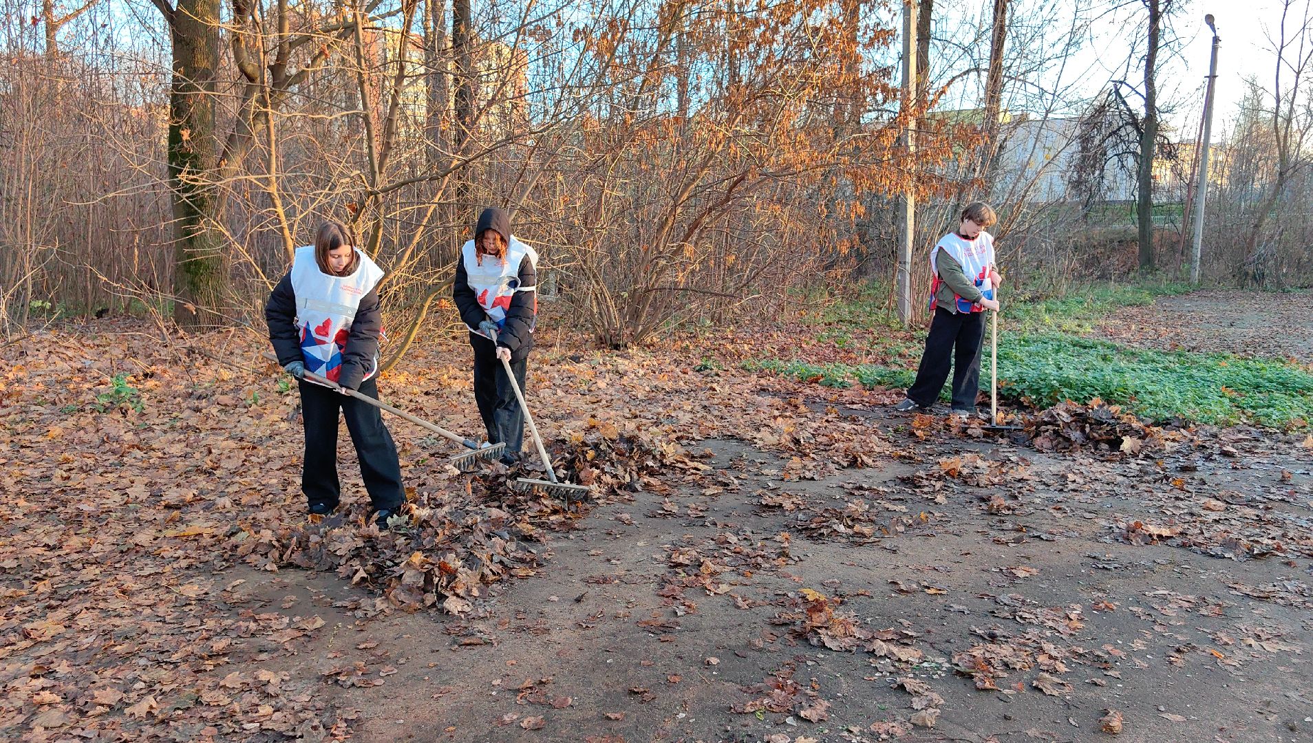 центр, субботник, грабли, мешки, мусор, день народного единства,