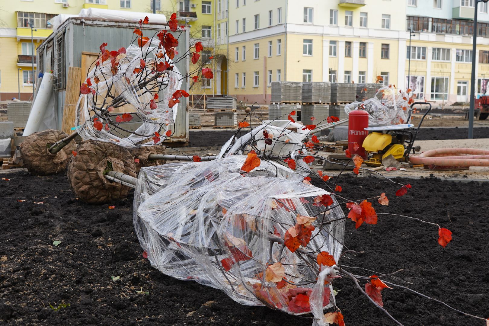 ступино, проспект Победы, благоустройство, новый фонтан, деревья, клены, яблони,
