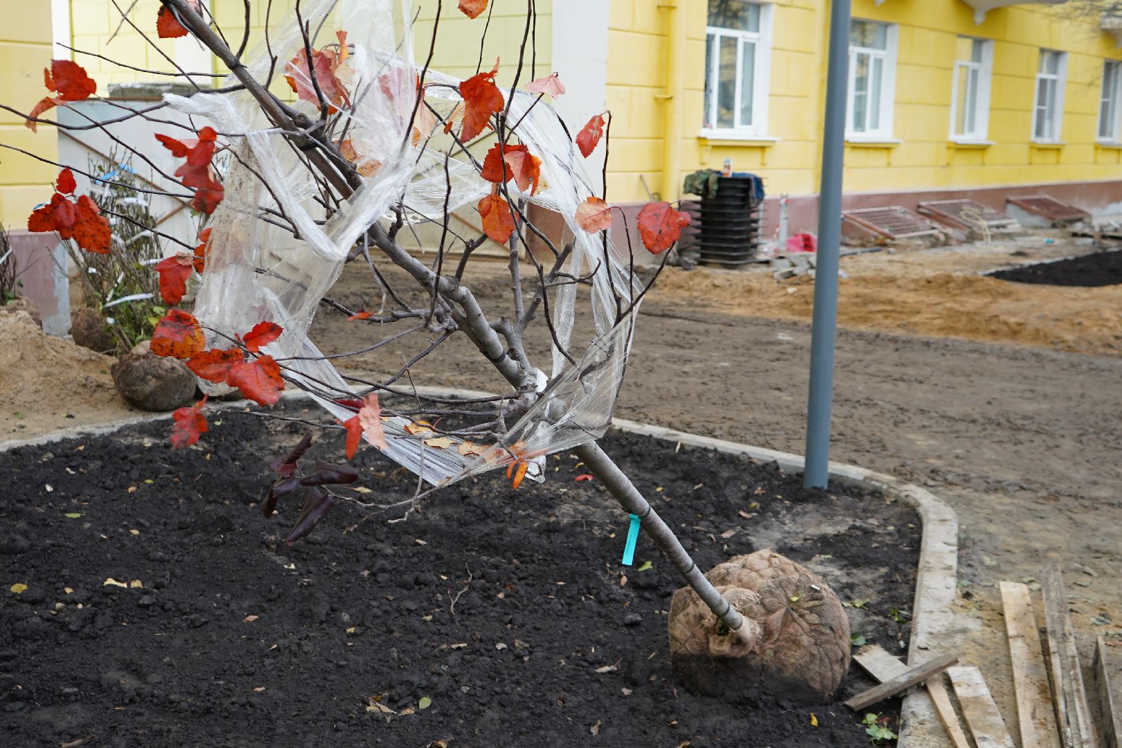 ступино, проспект Победы, благоустройство, новый фонтан, деревья, клены, яблони,