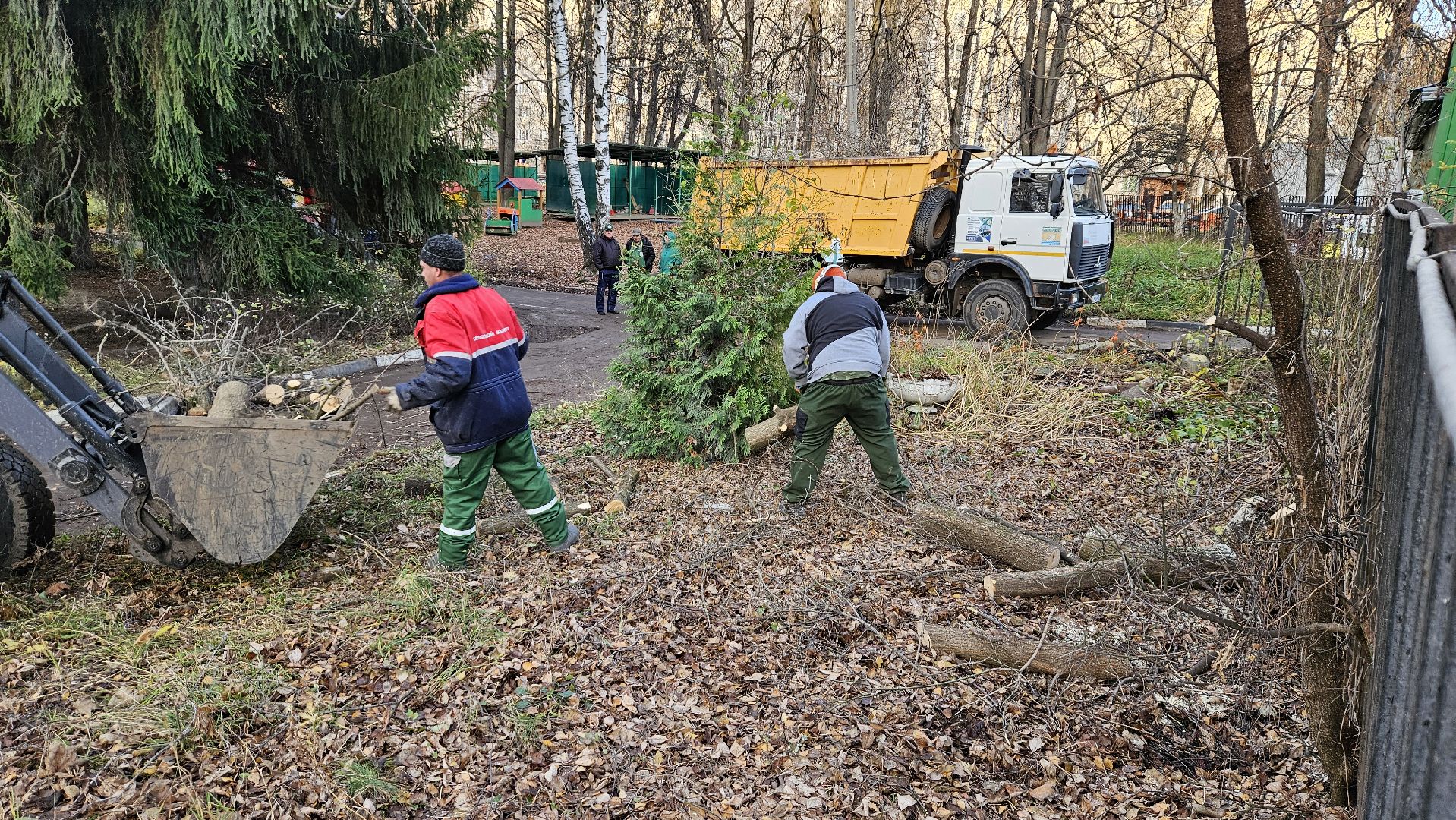 долгопрудный, детский сад 6 звездочка, аварийные деревья, благоустройство,