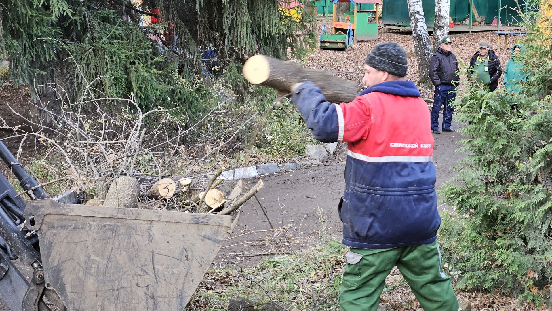 долгопрудный, детский сад 6 звездочка, аварийные деревья, благоустройство,