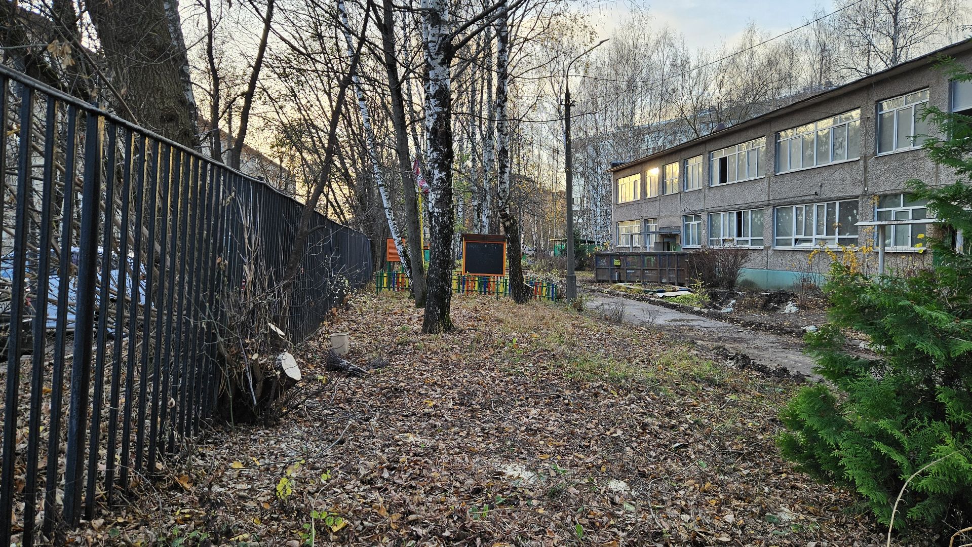 долгопрудный, детский сад 6 звездочка, аварийные деревья, благоустройство,