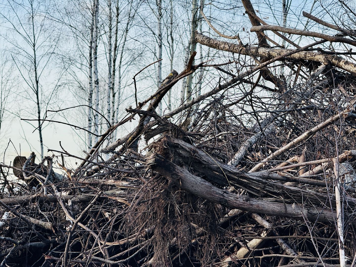 раменское, детская  площадка, строительство детской площадки,